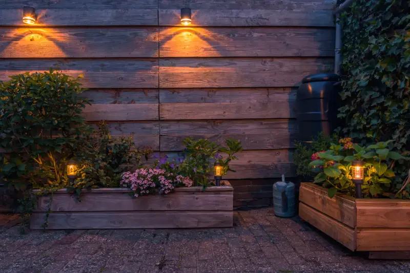 Flores solares con LED: iluminan tu jardín y decoran de día