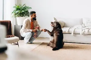 Five Touching Ways Pets Show You’re Their Forever Home