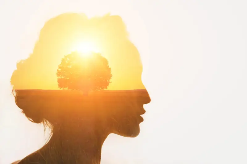 El Proverbio Chino que Nos Enseña a Actuar: Nunca es Tarde para Empezar