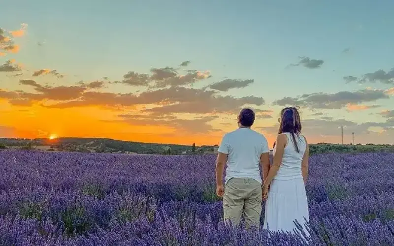 Caleruega, el destino de Burgos que florece en color lavanda