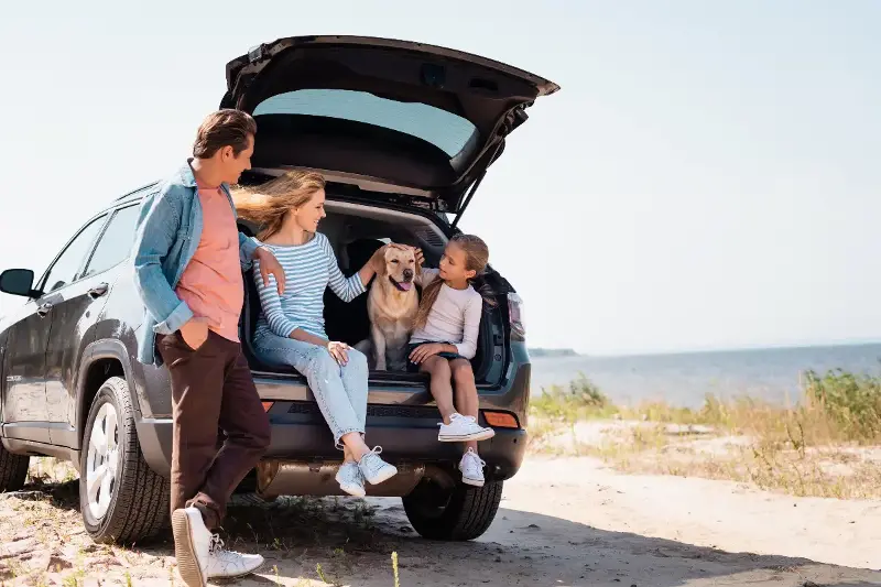 Choosing Between A Family Car Or A Sports Car: Find Out What Truly Fits Your Life