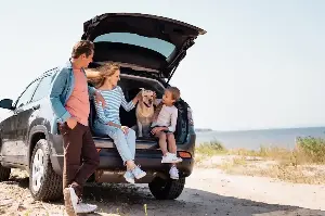 Choosing Between A Family Car Or A Sports Car: Find Out What Truly Fits Your Life