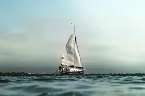 Sailing Through Life: An Expert Guide to Understanding Everything About the Freedom of Beautiful Sailboats