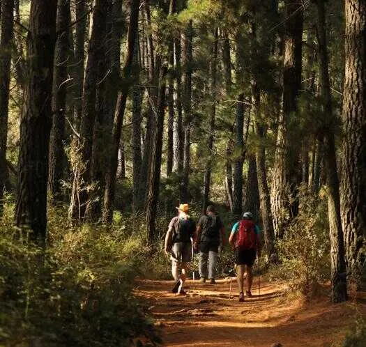 Diputación diseña herramienta para planificar y facilitar recorrido por 1.400 kilómetros de rutas de senderismo