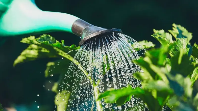 Wasser sparen: Landratsamt Landsberg ruft zum Sparen auf