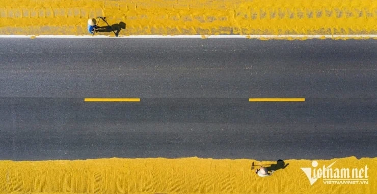 Terraced rice fields in Mu Cang Chai