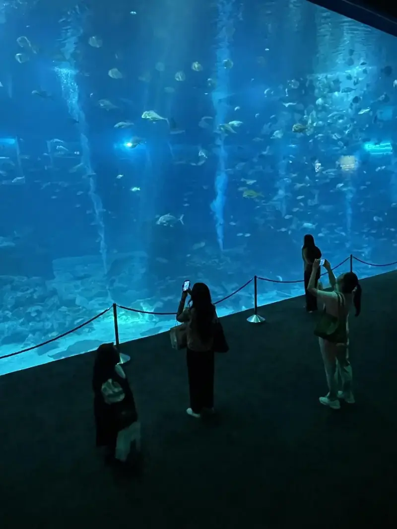 Singapore Oceanarium. photo: Suwitcha Chaiyong