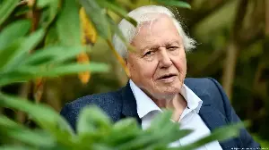 Celebrated broadcaster and naturalist David Attenborough turns 100