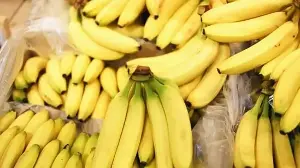 Are you eating bananas wrong? Gastroentrologist shares 2 common mistakes: ‘Avoid eating on empty stomach…’