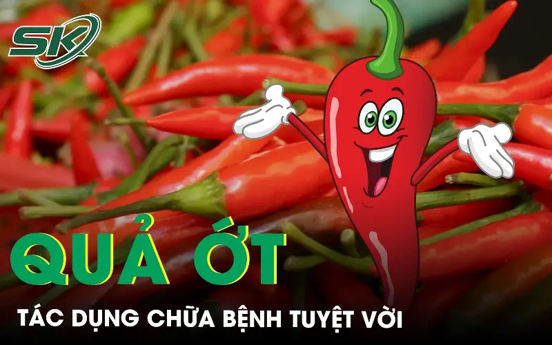 Tác dụng chữa bệnh của quả ớt 