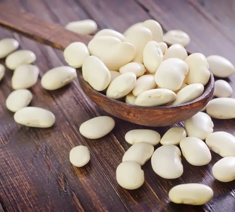 Đậu trắng có tác dụng gì?- Ảnh 1.