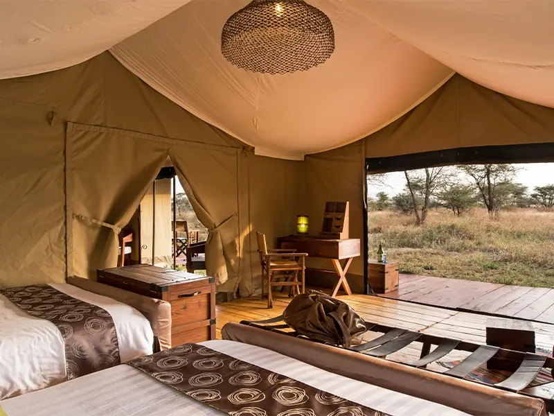 Safaris in Tanzania