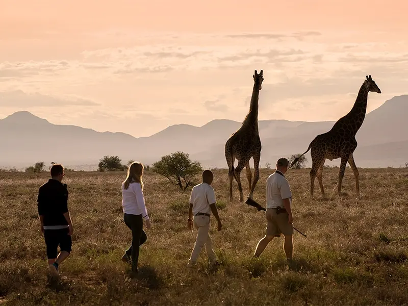 Safari lodges in South Africa