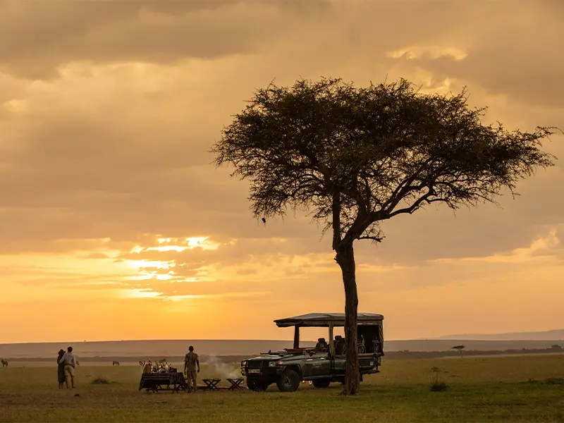safaris in kenya