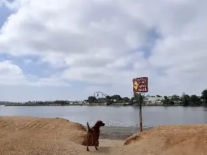Maura Fox: Get ready for the dog days of summer with a walk at San Diego's Fiesta Island