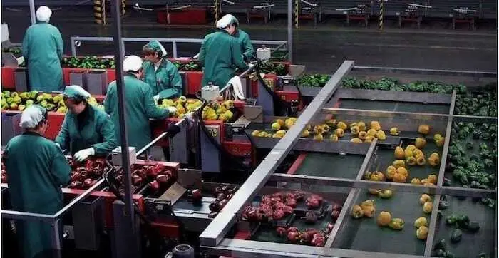 CCOO de Almería exige un plan de empleo para la provincia tras sumar 11.700 parados en un año, "la peor evolución de Andalucía"