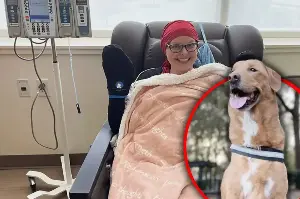 Dog sniffed out his owner's deadly cancer before it was too late