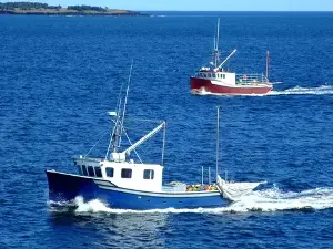 Earth Talk: Overfishing
