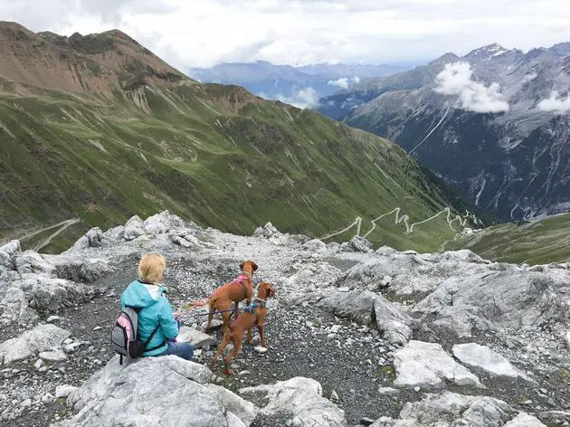 Höhenluft schnuppern: Mensch und Hund genießen die Aussicht und Bewegung in den Bergen.