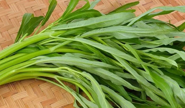 Bị sỏi thận ăn rau muống được không? - Ảnh 1.