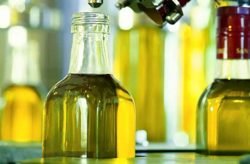 Diputación elige los ocho mejores aceites de oliva virgen extra con la cata 'Jaén Selección 2027'