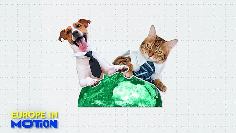 ¿Llevarías a tu mascota al trabajo? Los países que lideran el cambio en Europa