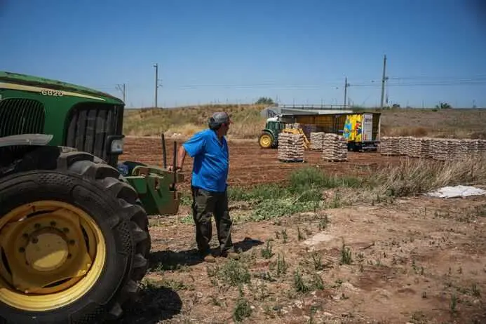 Asaja Málaga recuerda que aunque bajen las temperaturas, no desaparece el riesgo del calor en el campo