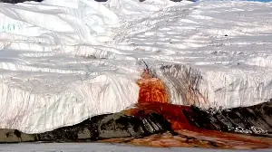 Scientists Have Finally Solved One of the Last Mysteries About Antarctica's Blood Falls