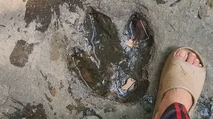 Tourist’s photo leads to discovery of 120-million-year-old dinosaur footprints in Thailand