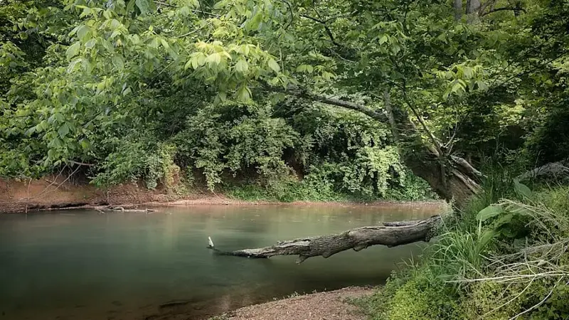 The Seneca Ridge Trail runs along Seneca Creek and passes the famous Blair Witch filming site.