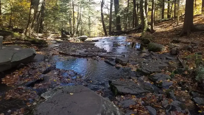 Hikers will have to rock hop over streams and springs along the Devil's Path.