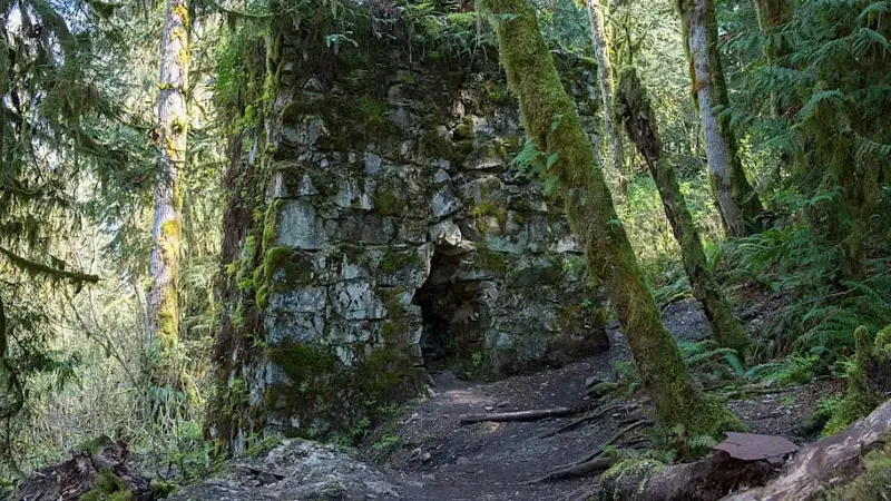A historic kiln with ferns and mosses on Washington’s Lime Kiln Trail.