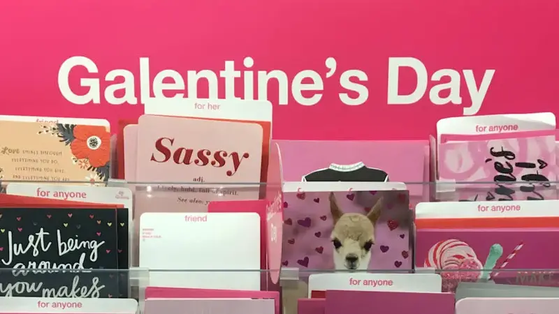 A selection of cards for Galentine's Day