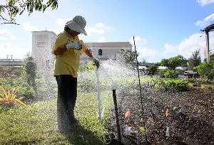 The springtime pastime that can keep your brain and body healthy