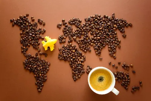 ¿Es la CULTURA DEL CAFÉ un arte secreto o una religión moderna? 4 ¿Es la CULTURA DEL CAFÉ un arte secreto o una religión moderna? 4