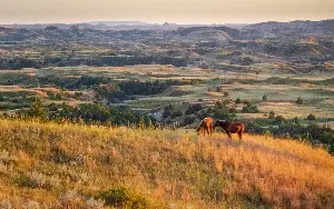 Buffalo-tracking and aurora-chasing in the badlands of North Dakota