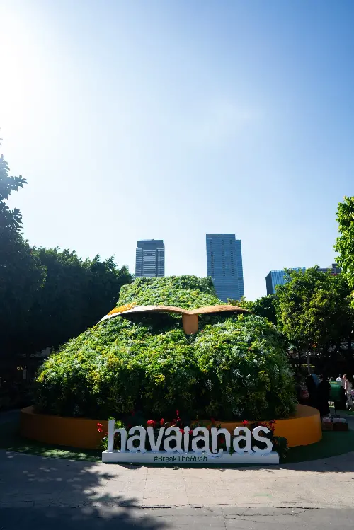 Plant, Potted Plant, Garden