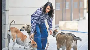The changemaker: A woman who keeps her house open for animals