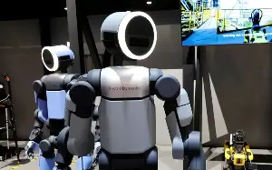 The sad reality at the pioneering humanoid robot company.