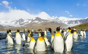 The 20 wildlife wonders you must see in your lifetime