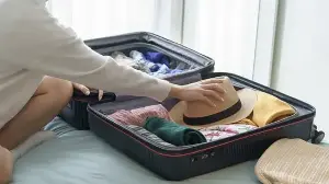 International travel is rising, and these trolley bags are built for it: 6 picks for your next vacation