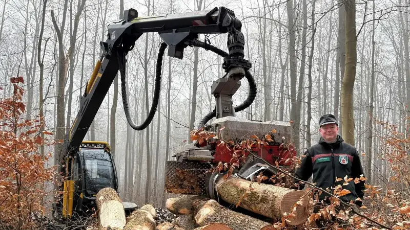 Fällarbeiten am Wieter: Waldwege in Northeim teilweise gesperrt