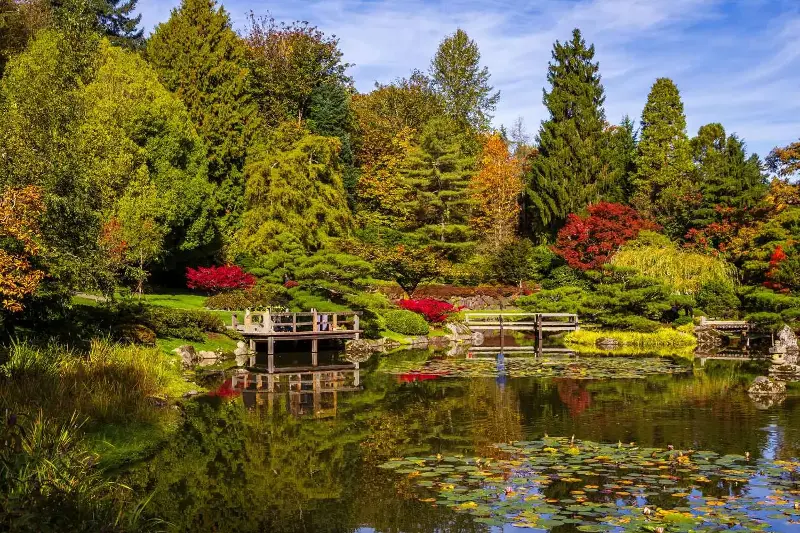 Quando arriva davvero l’autunno (e perché non il 21 settembre come pensi)