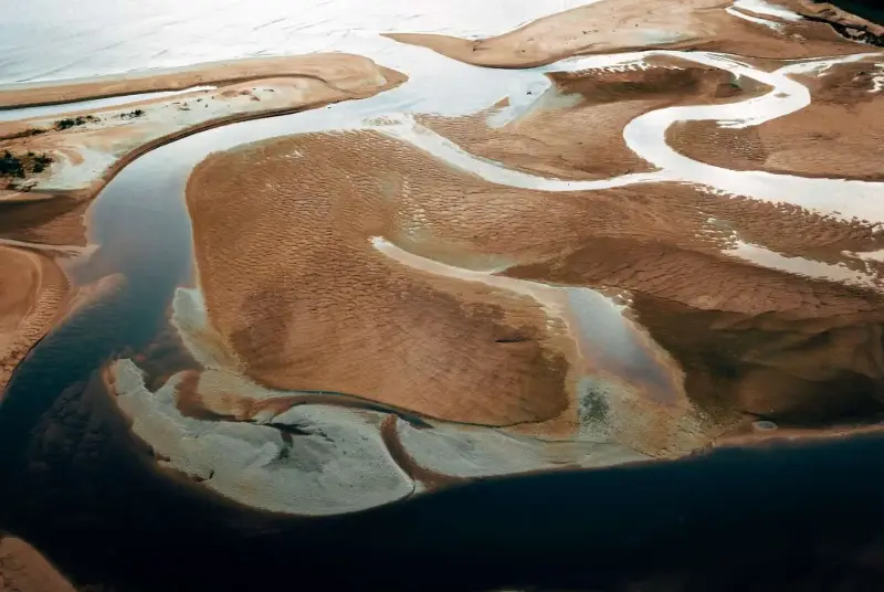 El cambio climático puede convertir la subida del mar en una nueva vía de invasión biológica