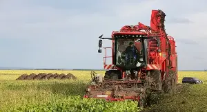 10 Countries with the Most Agricultural Land: China, US, and More