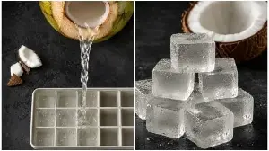 Is the coconut water ice cube hack actually legit or just a social media myth? Mangalore dietitian reveals truth