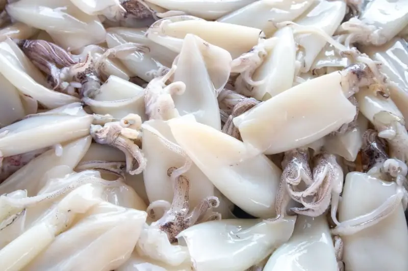¿Es saludable comer calamar? Sus propiedades, beneficios y contraindicaciones