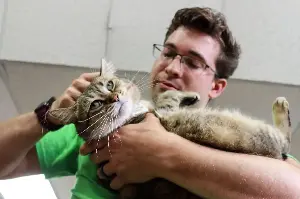 8 ways to keep your cat happy at home