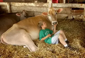Why do farm children tend to avoid asthma and allergies? Scientists find key bacteria
