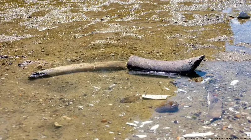 El histórico bajo nivel de las aguas del Danubio deja al descubierto los restos de un mamut en Bulgaria